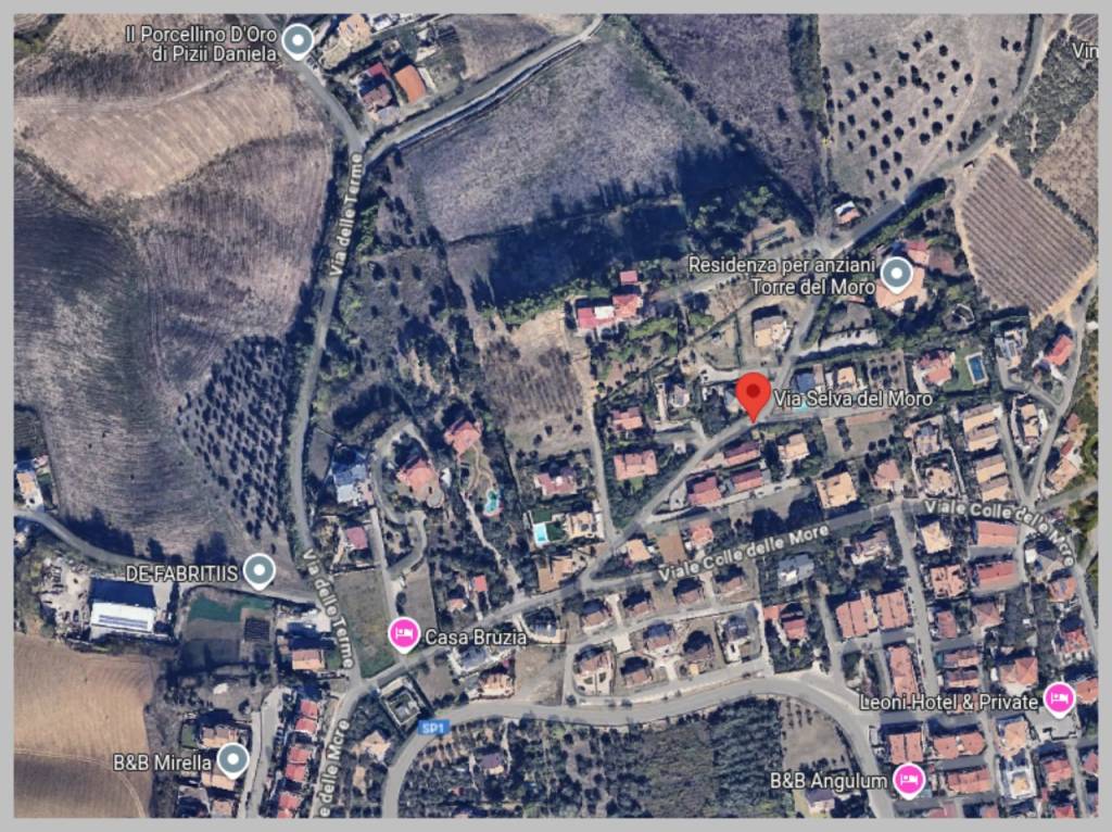 immagine annuncio 9 di 15