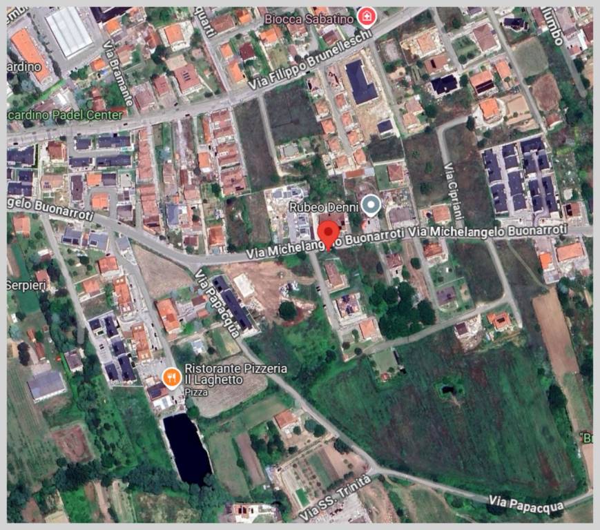 immagine annuncio 12 di 15