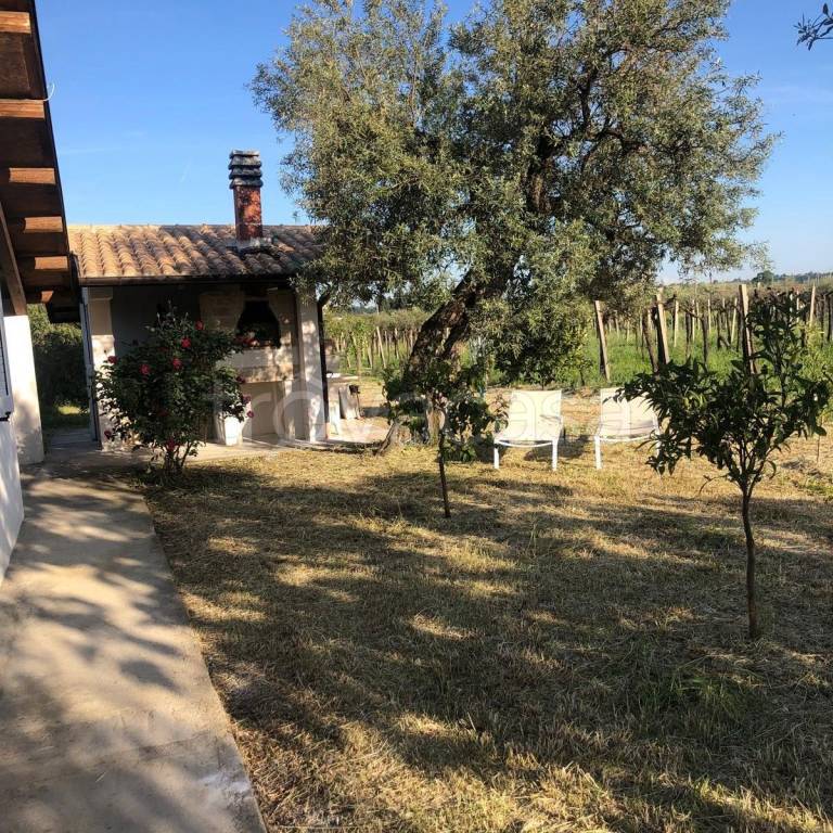 immagine annuncio 9 di 15