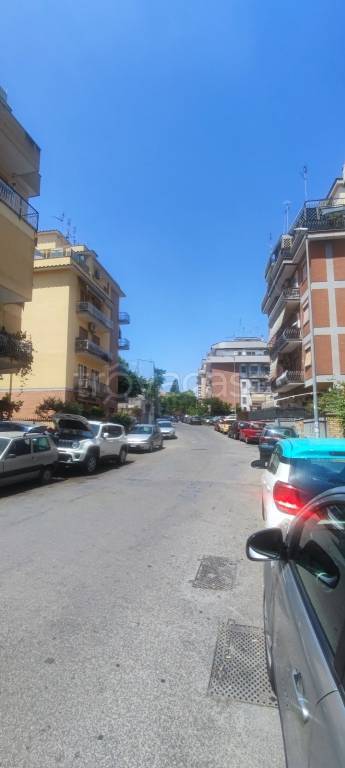 immagine annuncio 5 di 14