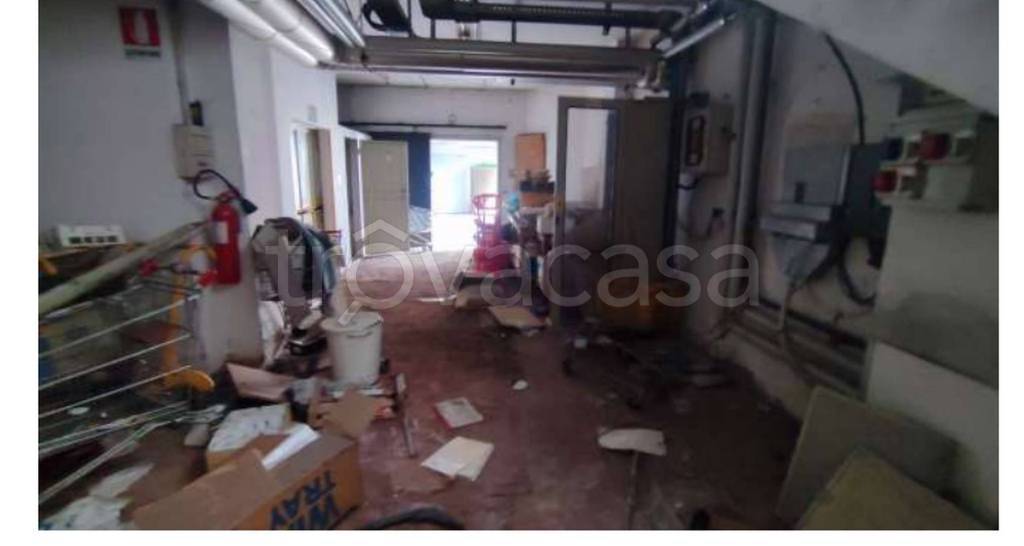 immagine annuncio 5 di 11