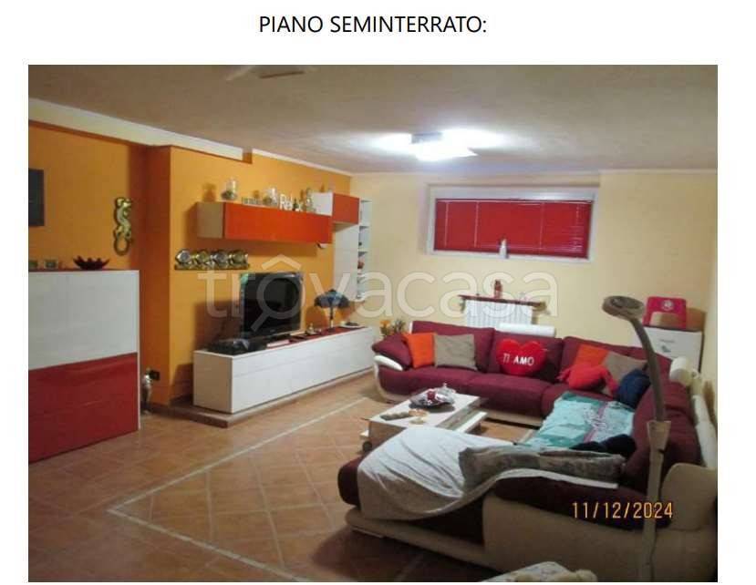 immagine annuncio 9 di 14