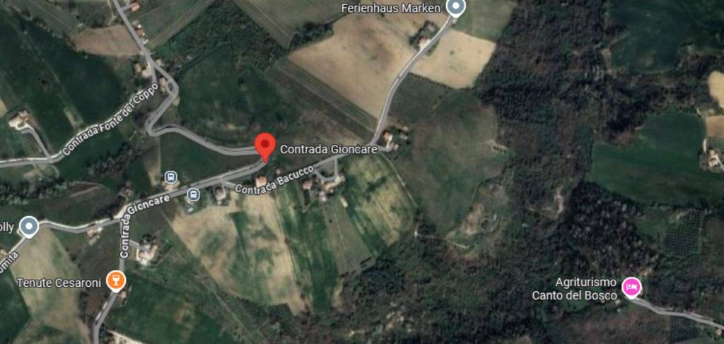 immagine annuncio 1 di 8