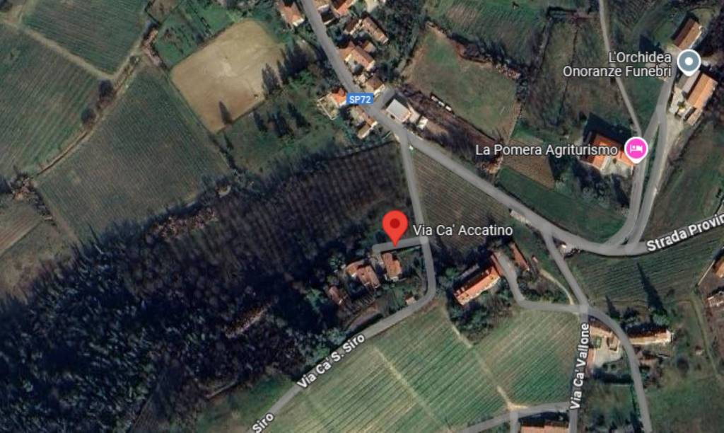 immagine annuncio 10 di 11