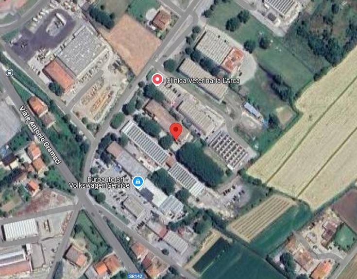 immagine annuncio 12 di 15