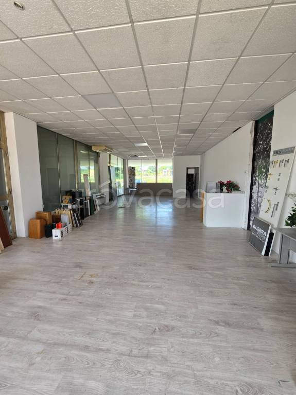 immagine annuncio 1 di 8