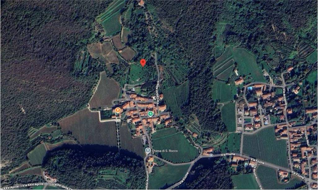 immagine annuncio 2 di 14