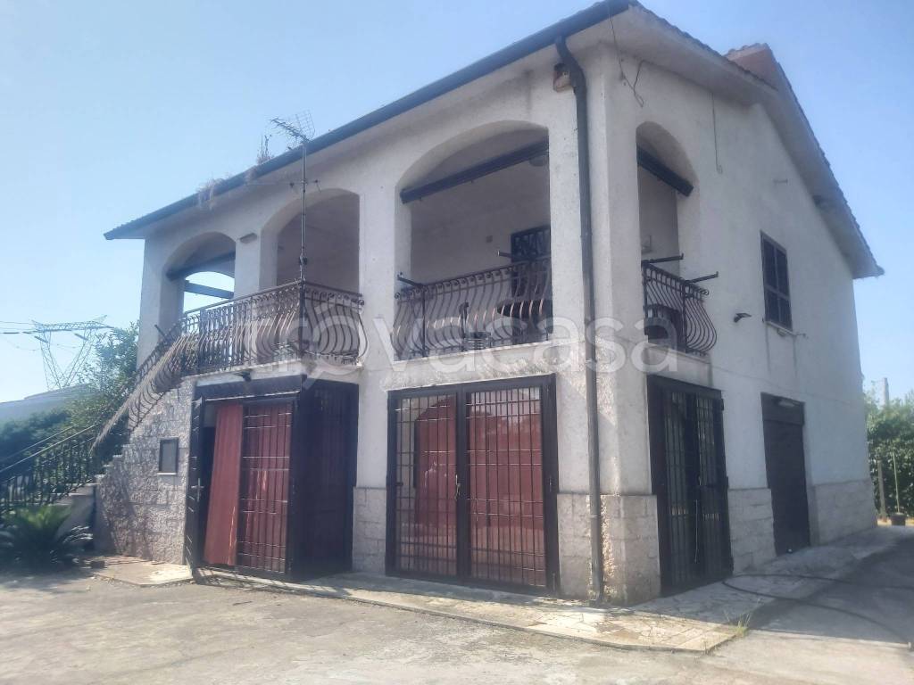 immagine annuncio 2 di 7