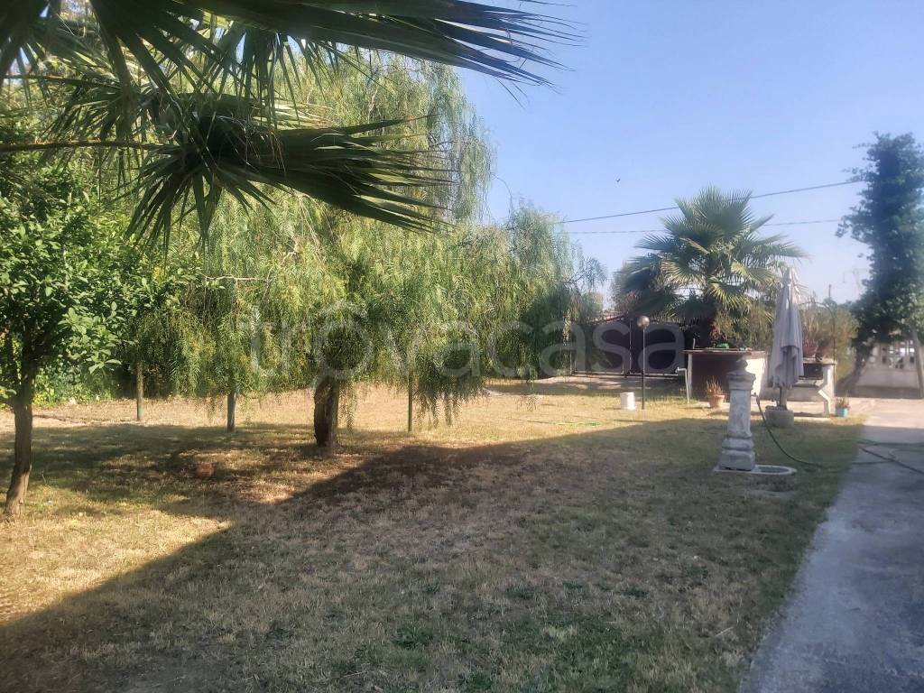 immagine annuncio 3 di 7