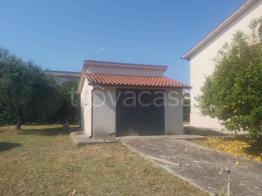 immagine annuncio 5 di 7