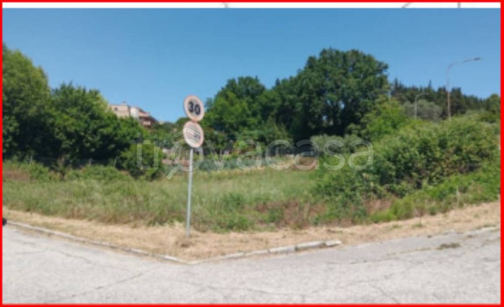 immagine annuncio 3 di 12