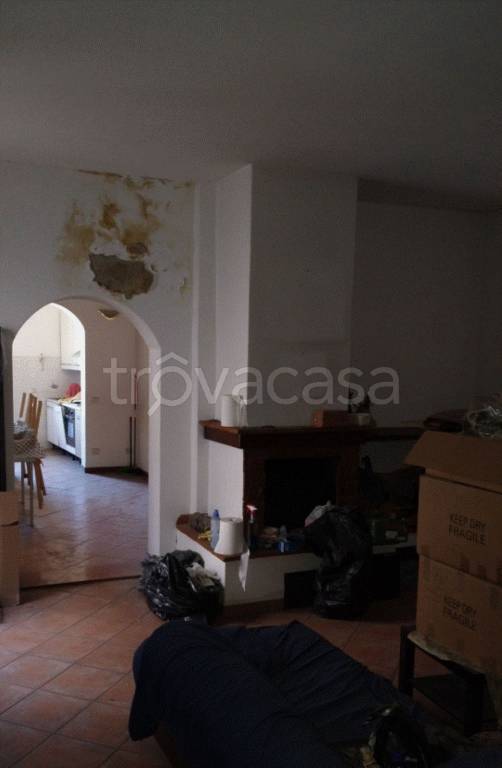 immagine annuncio 10 di 14