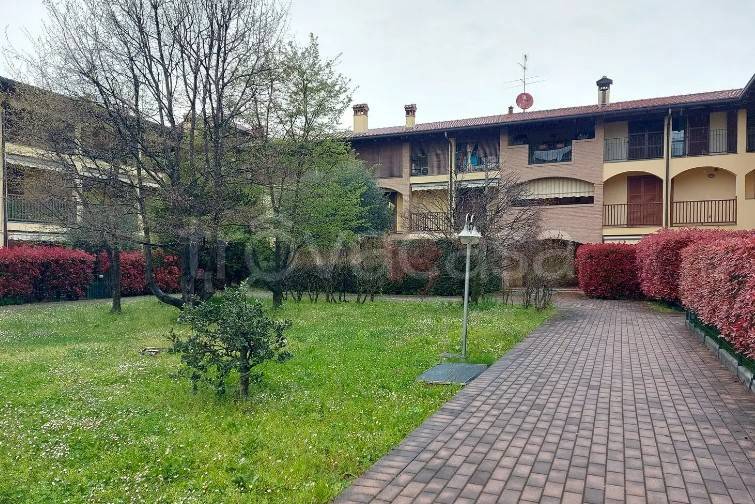 immagine annuncio 7 di 14