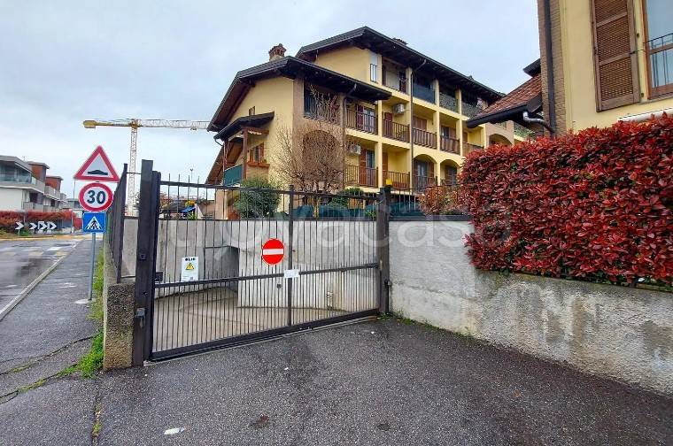 immagine annuncio 9 di 14