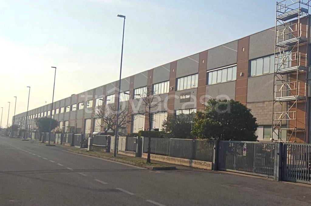 immagine annuncio 2 di 9