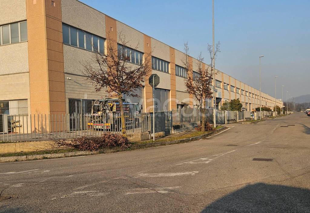 immagine annuncio 3 di 9