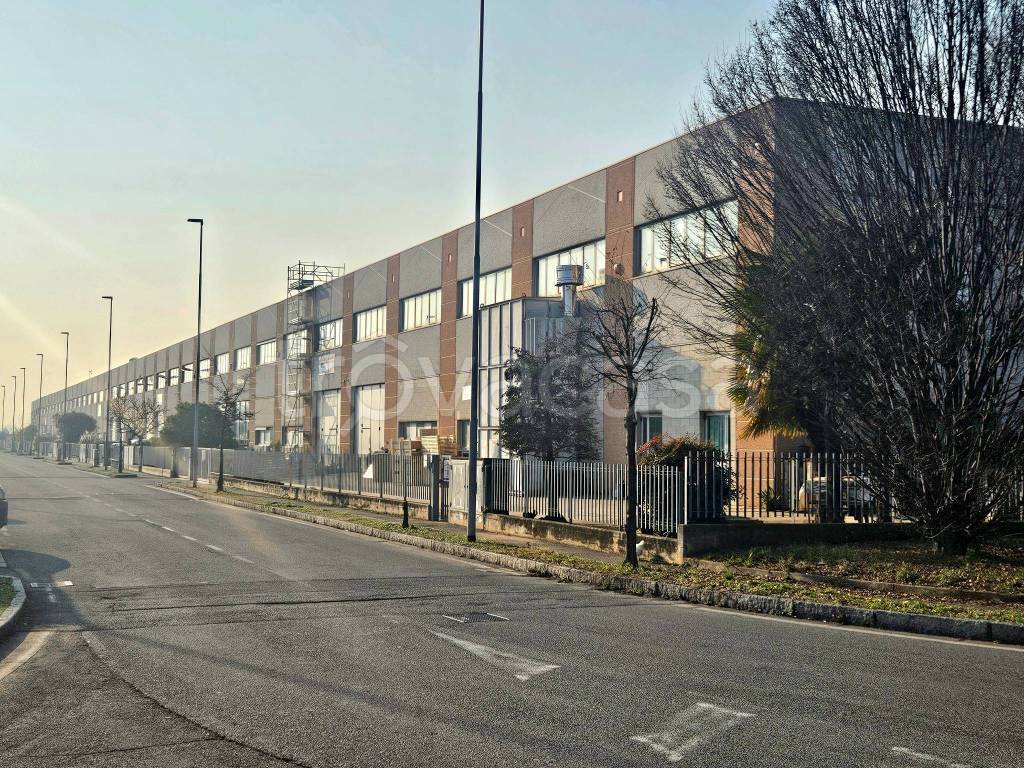 immagine annuncio 4 di 9