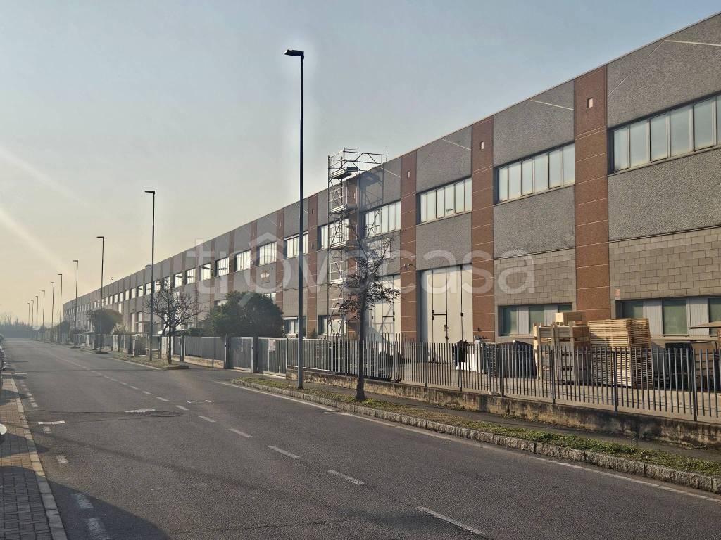 immagine annuncio 5 di 9