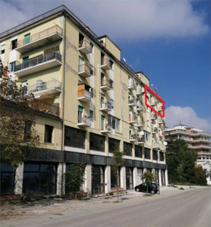 immagine annuncio 9 di 14