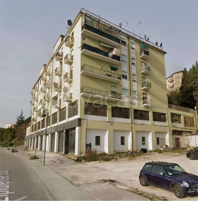 immagine annuncio 11 di 14