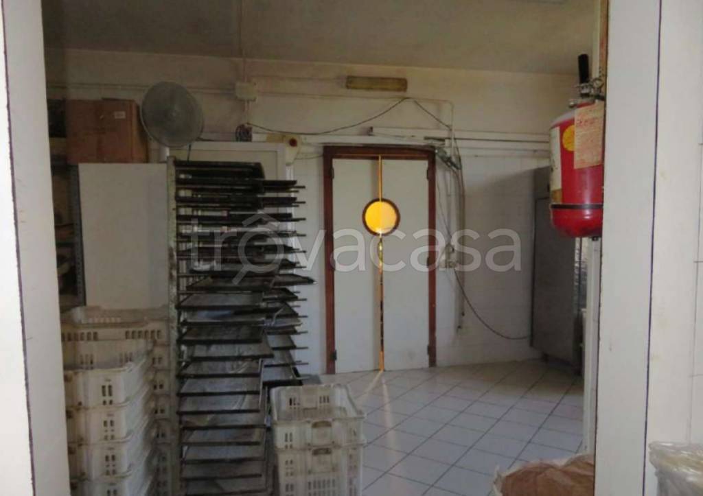 immagine annuncio 8 di 12