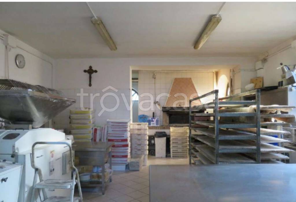 immagine annuncio 9 di 12