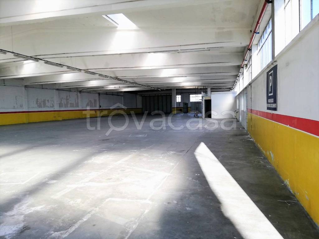 immagine annuncio 5 di 12