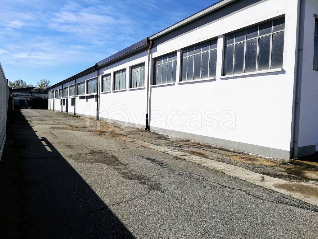 immagine annuncio 11 di 12