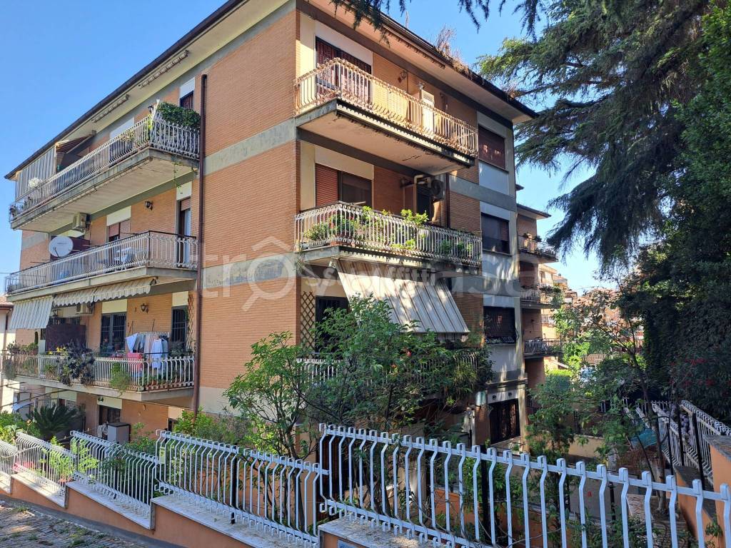 immagine annuncio 1 di 12