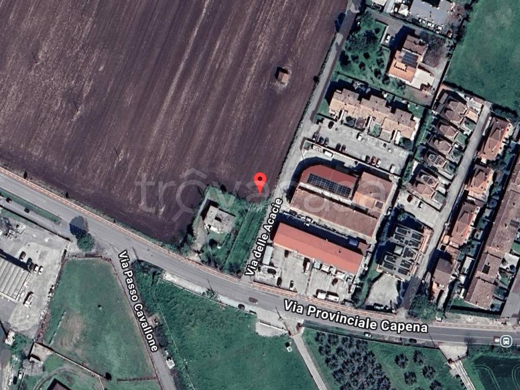 immagine annuncio 9 di 11