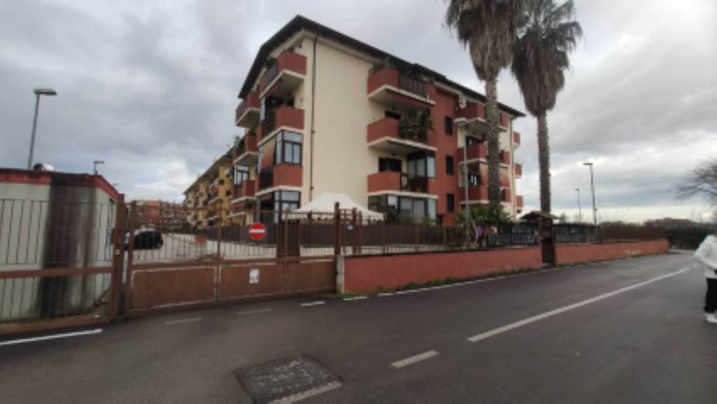 immagine annuncio 2 di 11