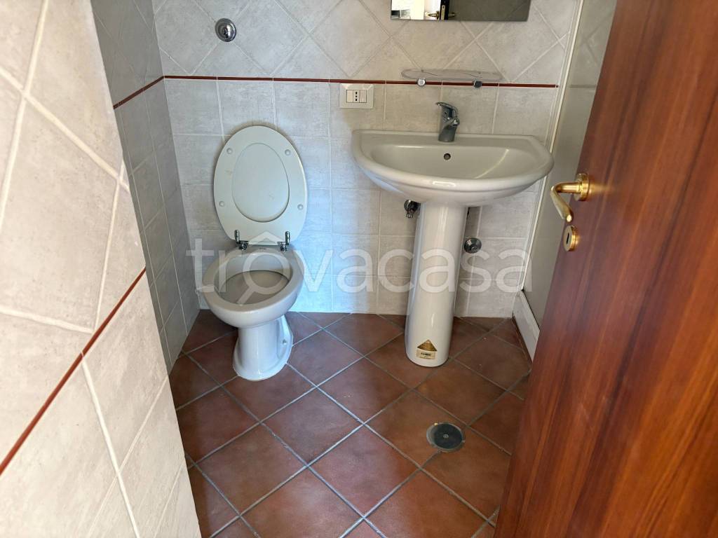 immagine annuncio 9 di 12