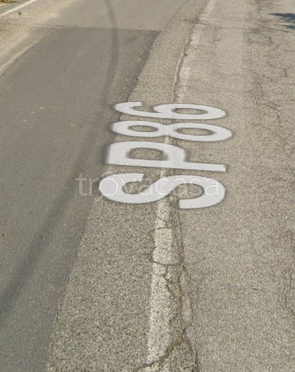 immagine annuncio 9 di 13