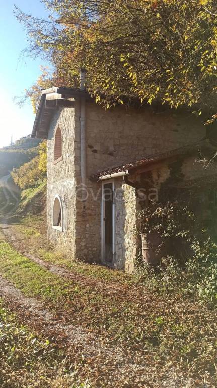 immagine annuncio 2 di 8