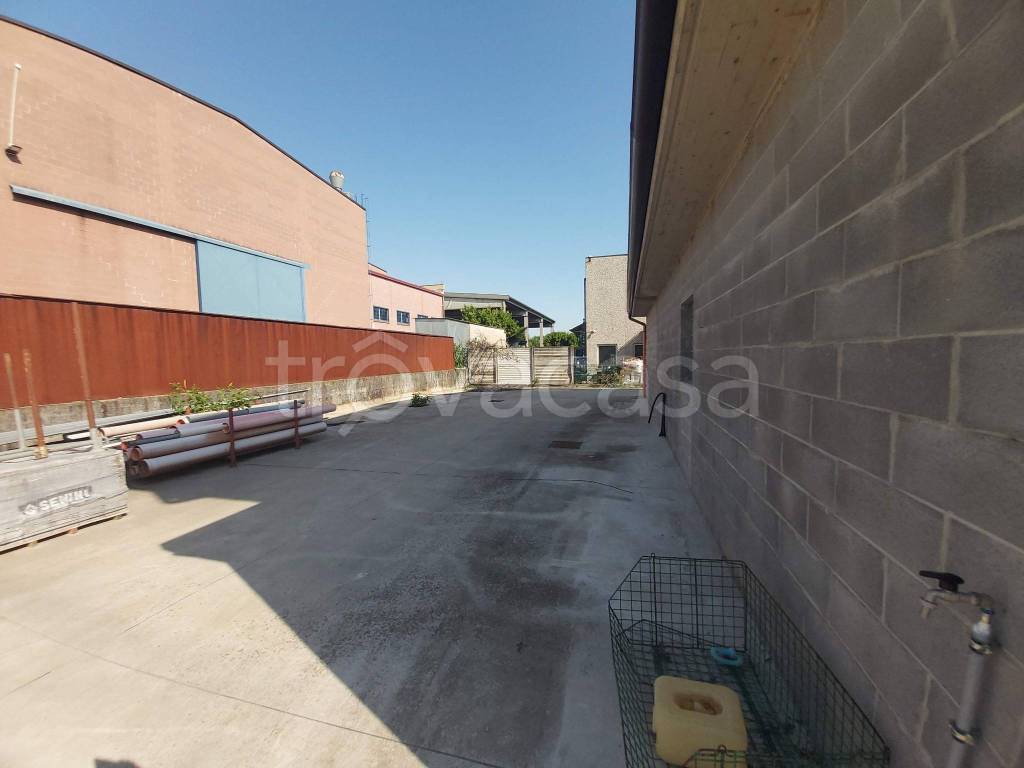 immagine annuncio 5 di 15