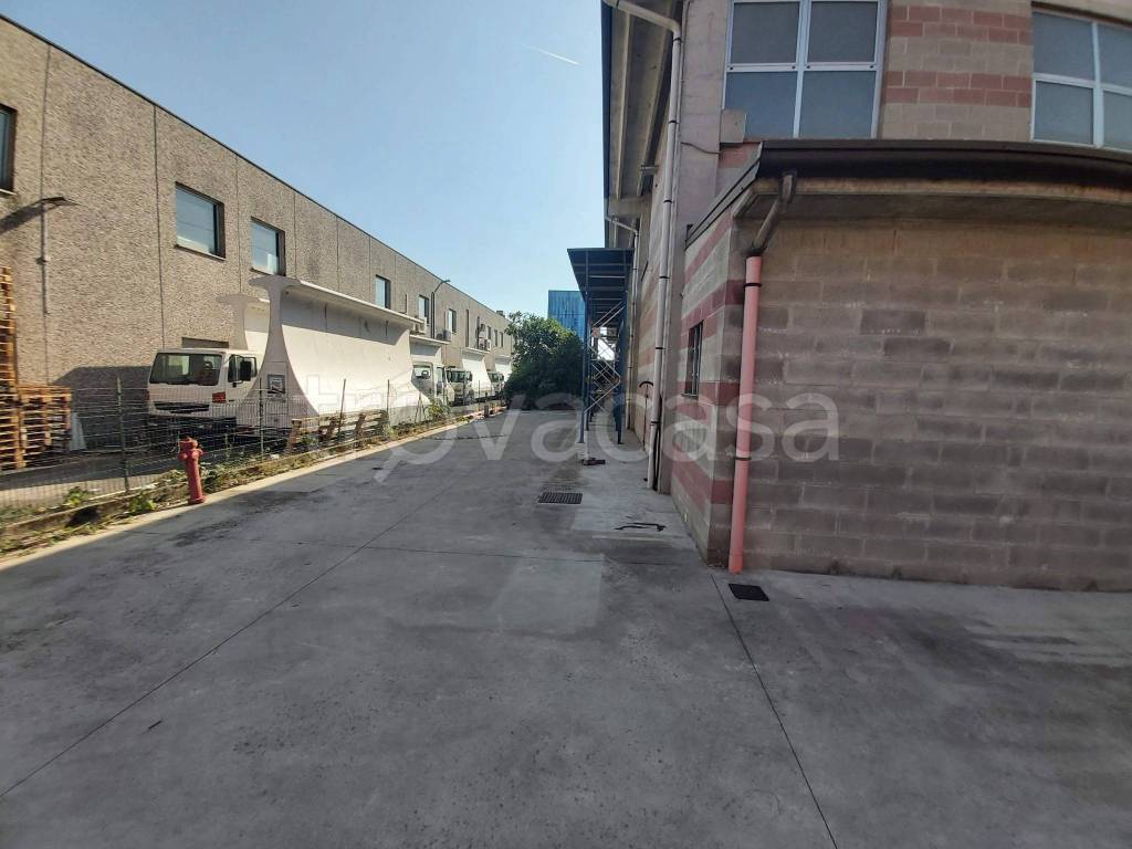 immagine annuncio 6 di 15