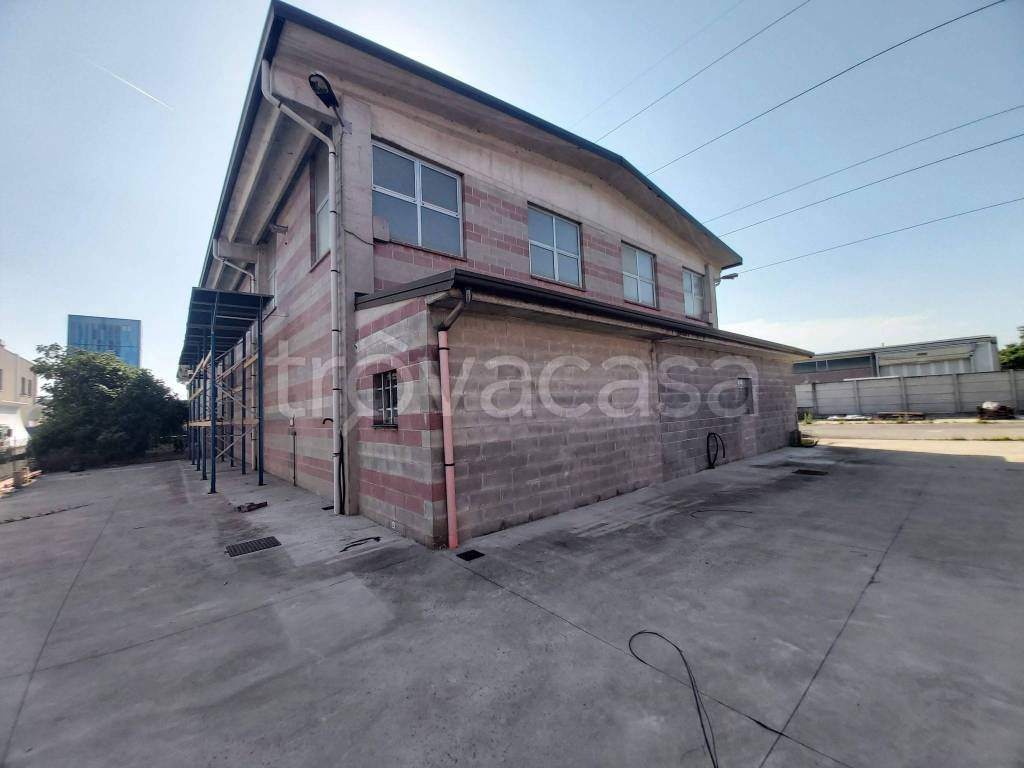 immagine annuncio 8 di 15