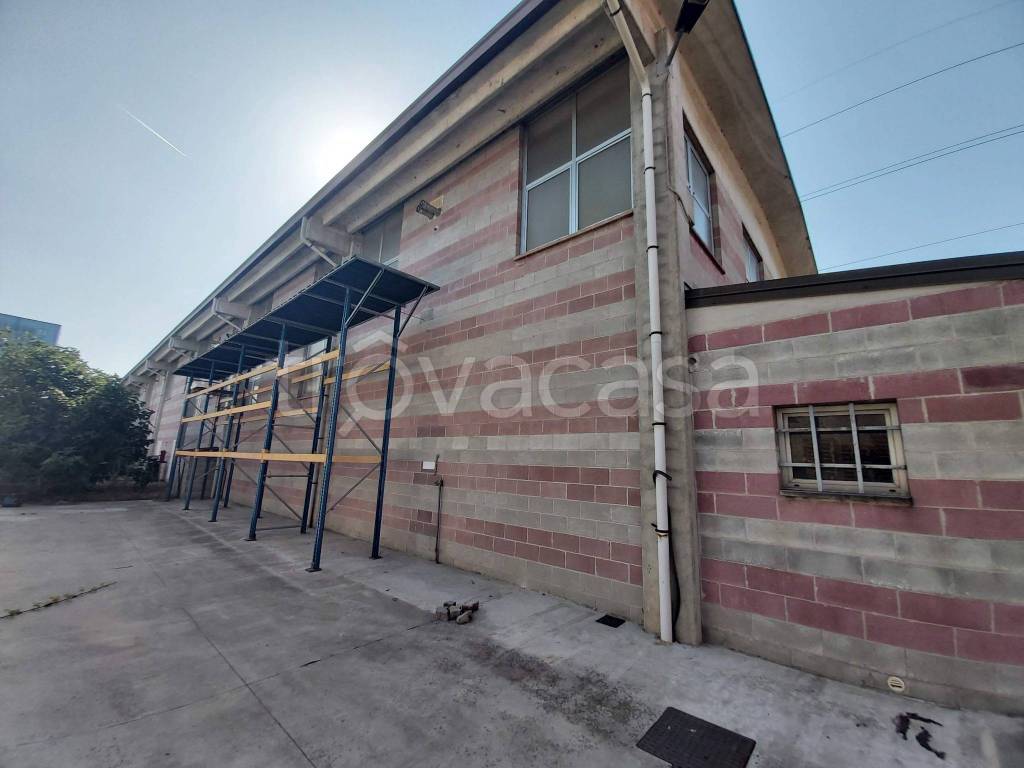 immagine annuncio 9 di 15