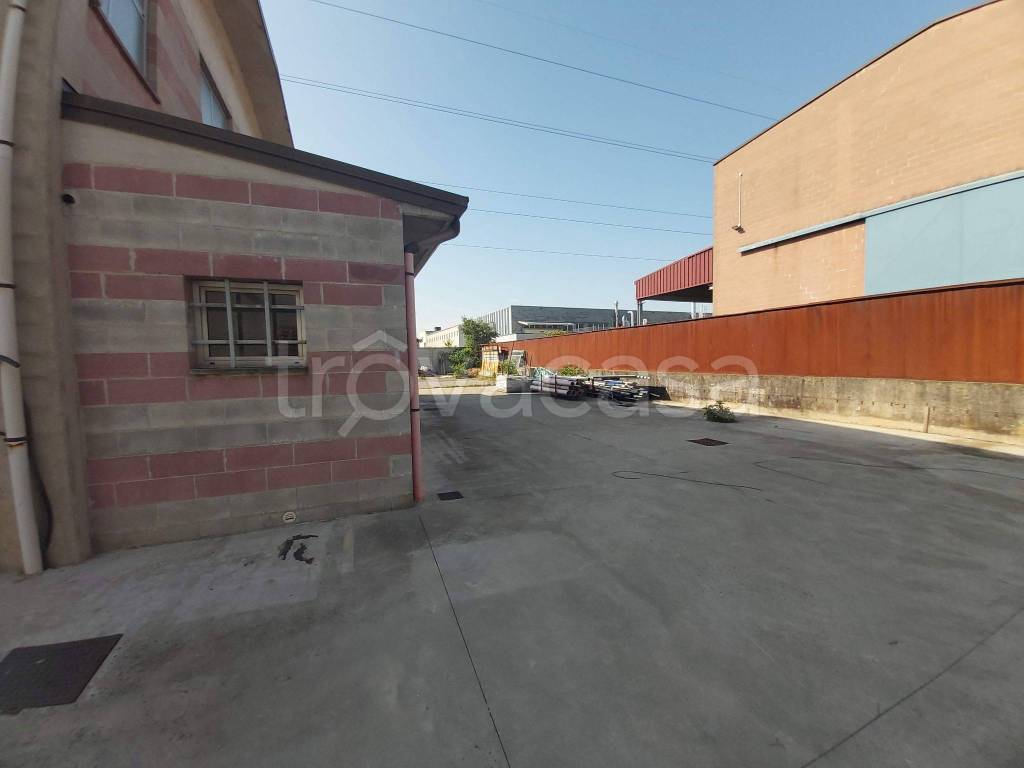 immagine annuncio 10 di 15