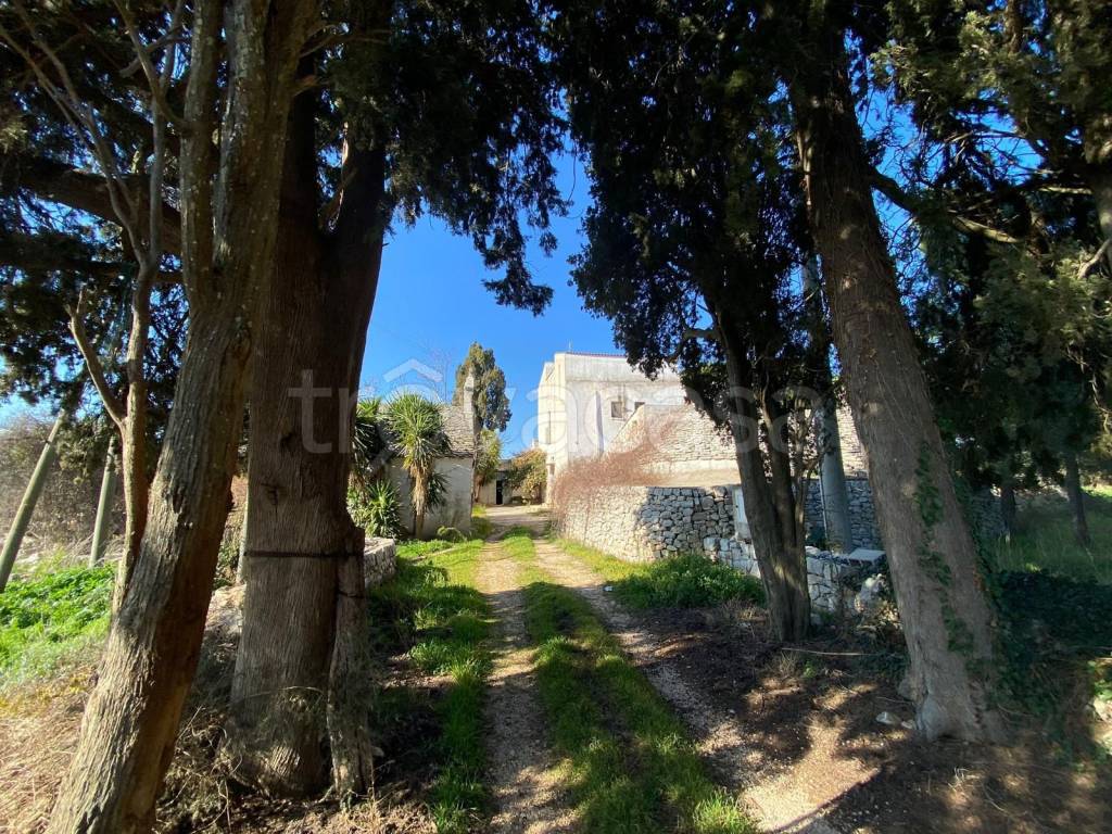 immagine annuncio 3 di 9