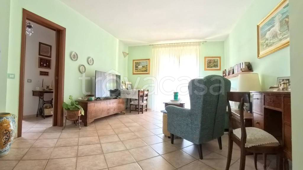 immagine annuncio 2 di 14