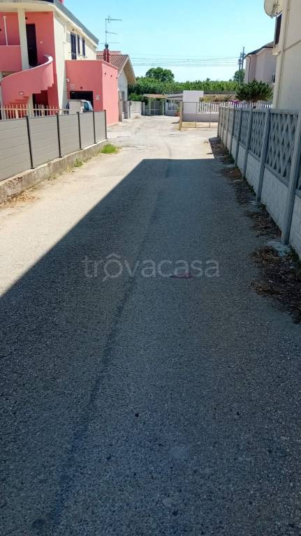 immagine annuncio 12 di 14