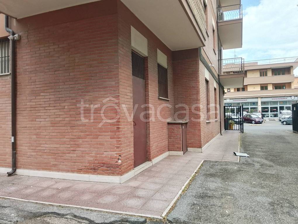 immagine annuncio 14 di 15
