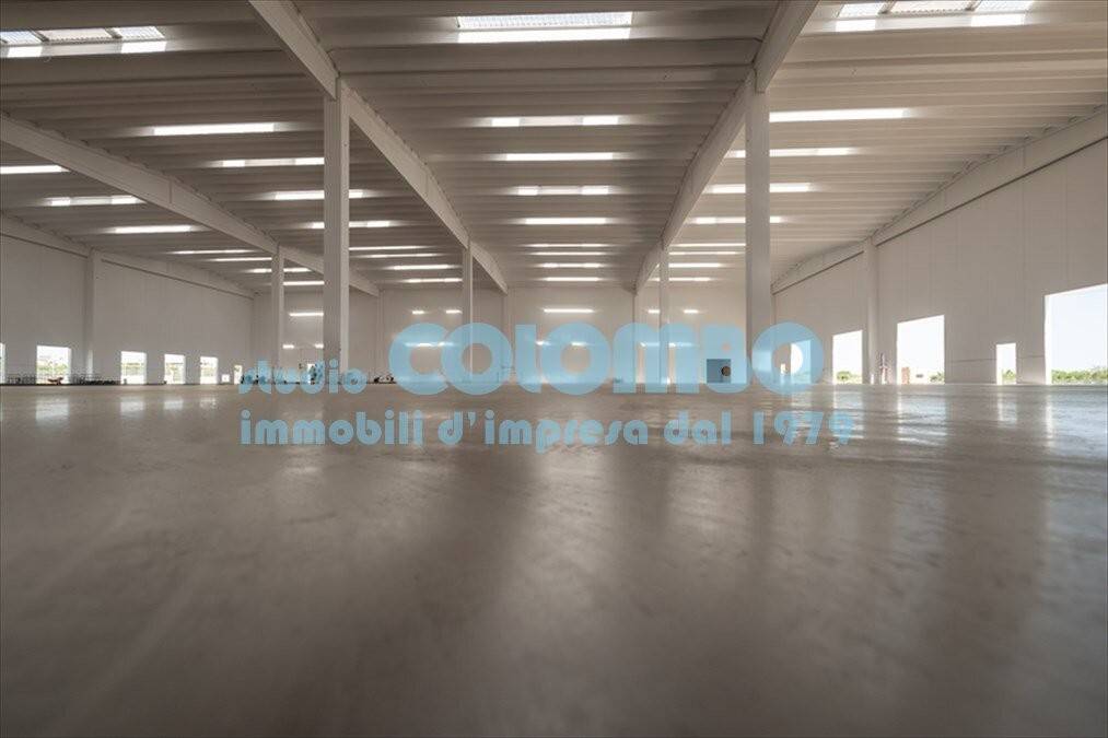 immagine annuncio 1 di 11