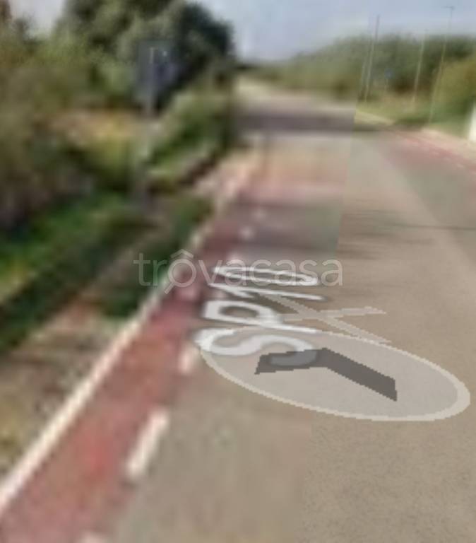 immagine annuncio 11 di 12