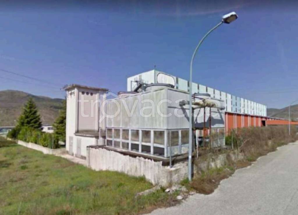 immagine annuncio 12 di 13