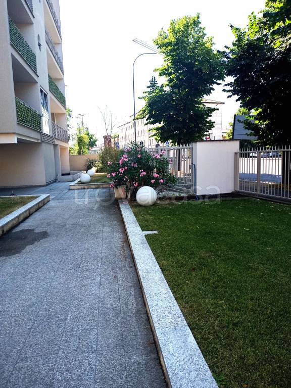 immagine annuncio 7 di 8