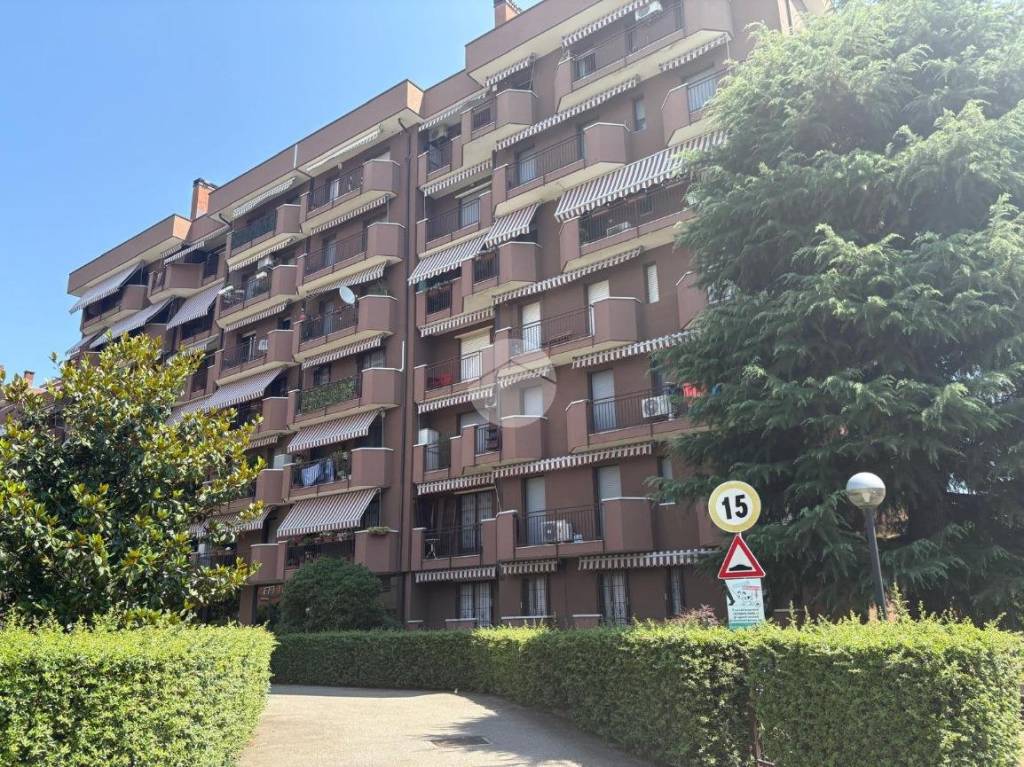 immagine annuncio 3 di 9