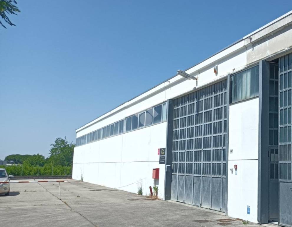 immagine annuncio 4 di 13