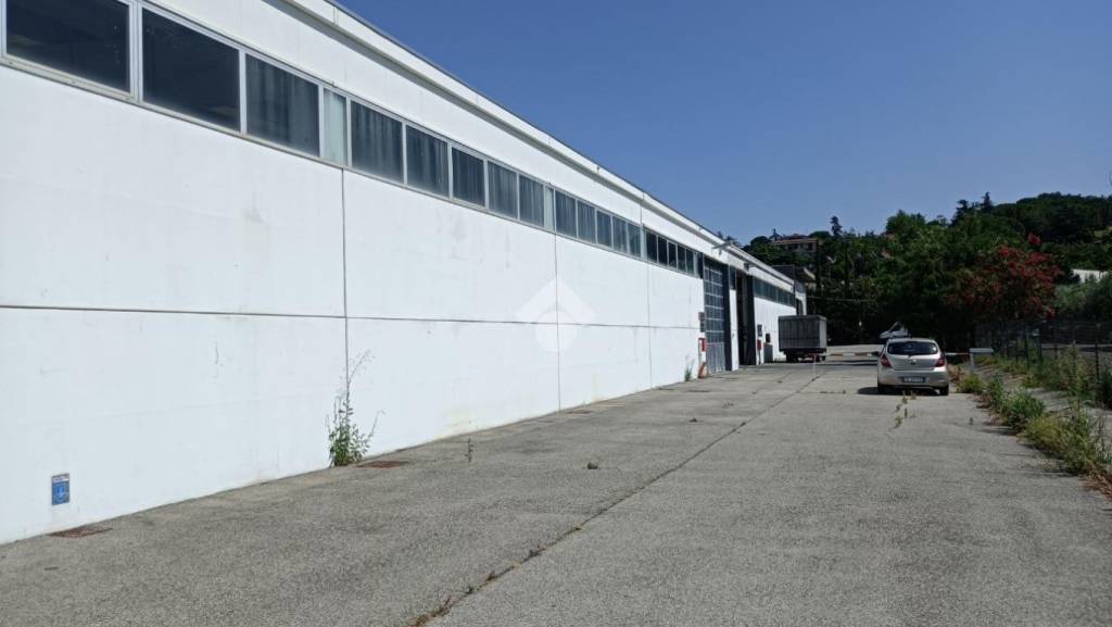 immagine annuncio 6 di 13